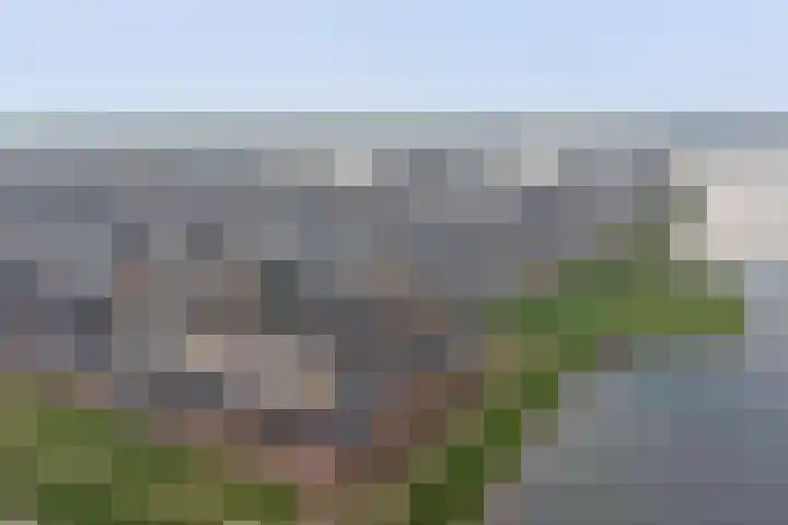Silenus 72 Cuijk thumbnail 60