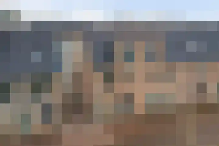 Silenus 72 Cuijk thumbnail 8