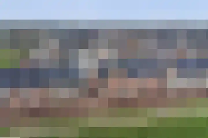 Silenus 72 Cuijk thumbnail 9