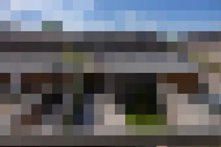 Silenus 94 Cuijk thumbnail 30