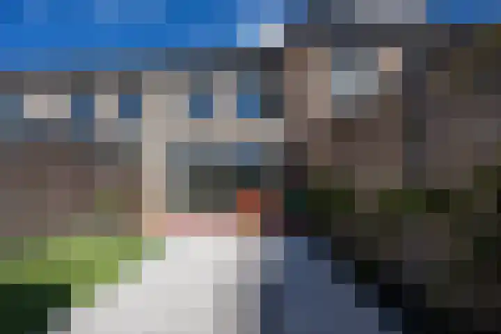 Silenus 94 Cuijk thumbnail 31
