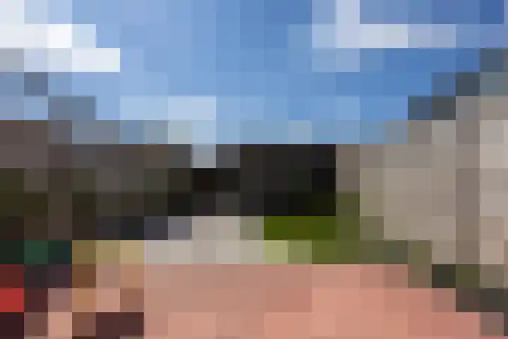 Silenus 94 Cuijk thumbnail 32