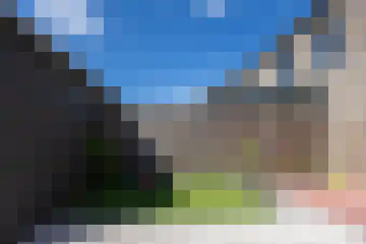 Silenus 94 Cuijk thumbnail 33