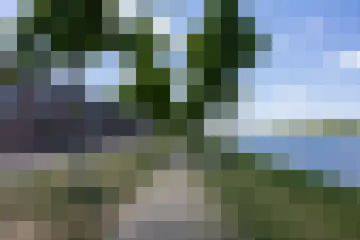 Silenus 94 Cuijk thumbnail 42