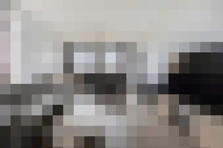 Silhof 37 Heerlen thumbnail 6
