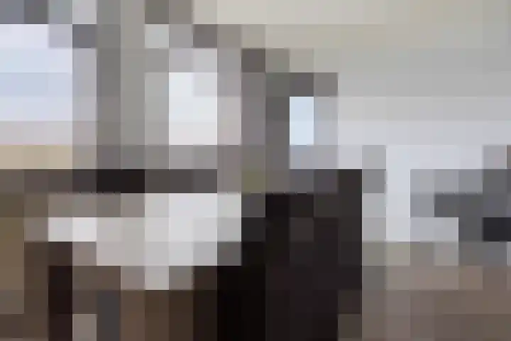 Silhof 37 Heerlen thumbnail 8