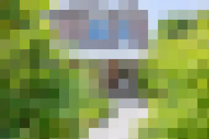 Silhof 71 Heerlen thumbnail 24