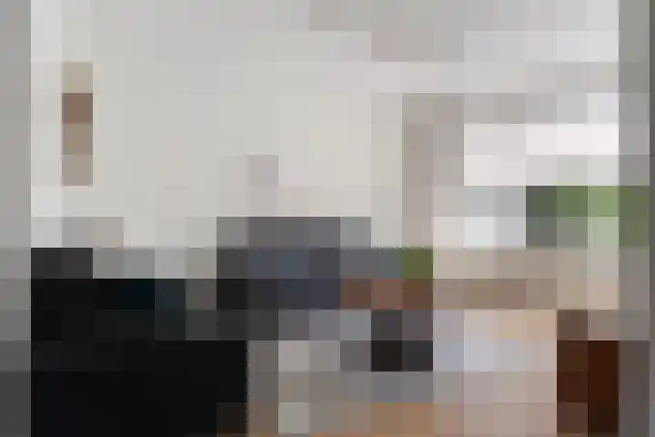 Sillân 87 Britsum thumbnail 10