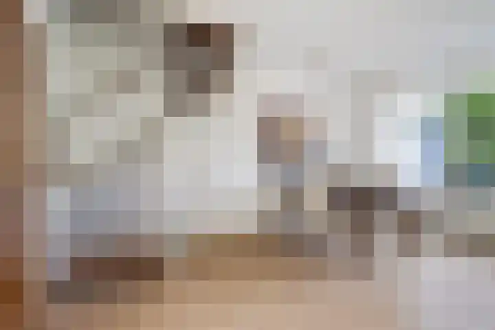 Sillân 87 Britsum thumbnail 14