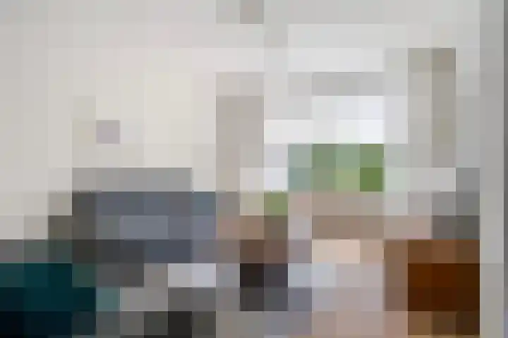 Sillân 87 Britsum thumbnail 15