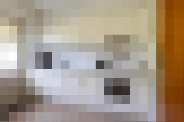 Sillân 87 Britsum thumbnail 17