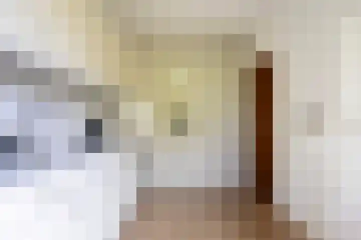 Sillân 87 Britsum thumbnail 19