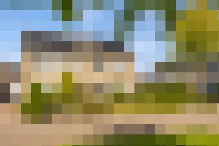 Sillân 87 Britsum foto 2