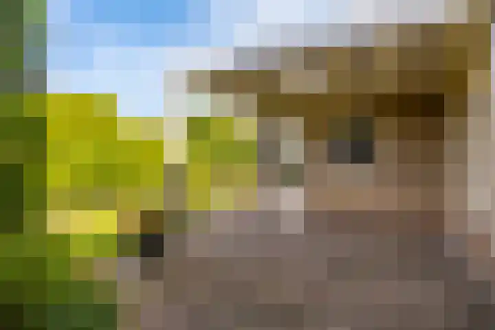 Sillân 87 Britsum thumbnail 20