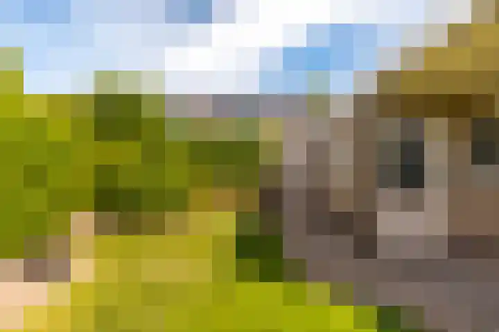 Sillân 87 Britsum thumbnail 21