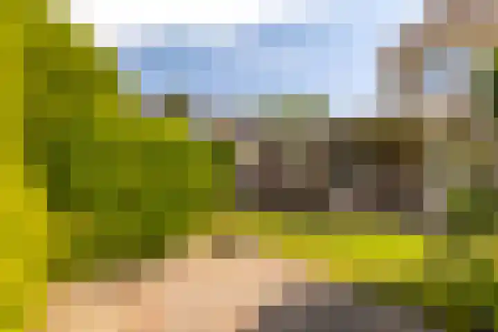 Sillân 87 Britsum thumbnail 22