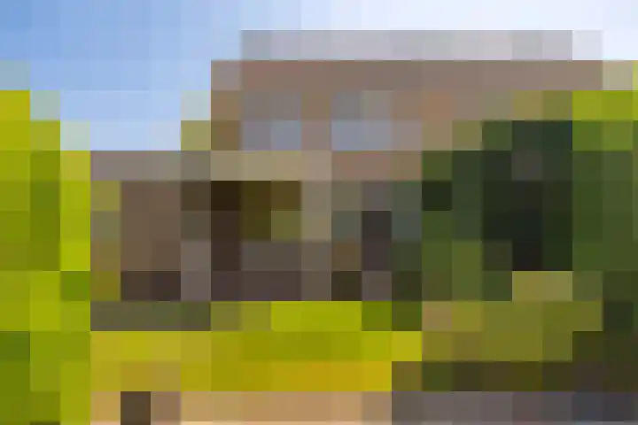 Sillân 87 Britsum thumbnail 23