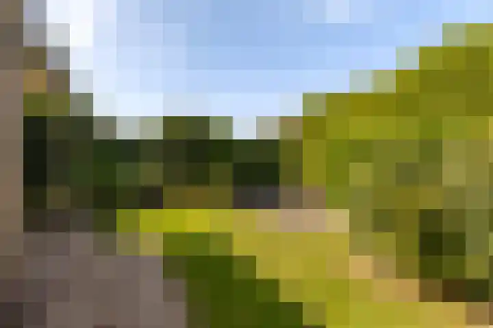 Sillân 87 Britsum thumbnail 24