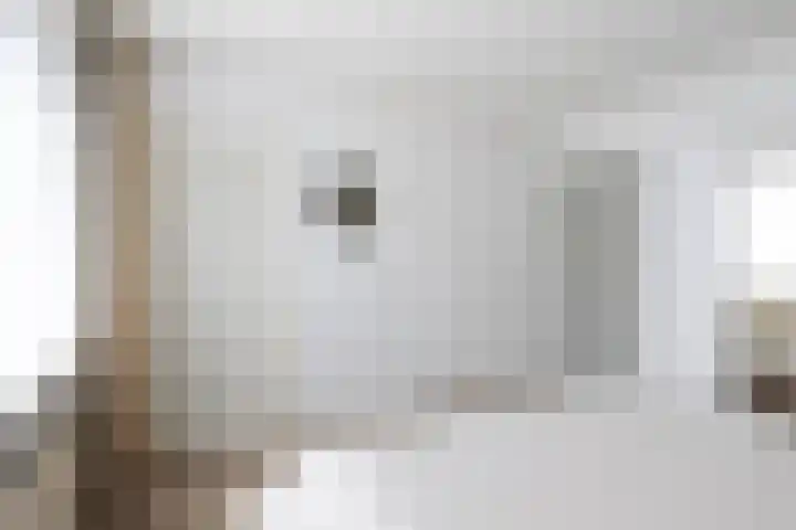 Sillân 87 Britsum thumbnail 28