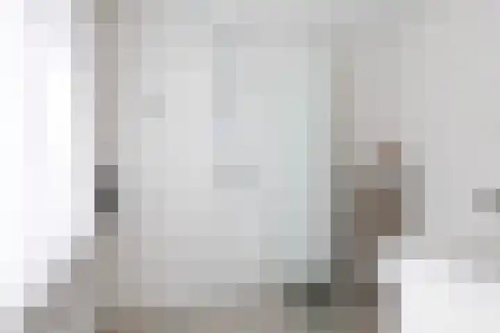 Sillân 87 Britsum thumbnail 29