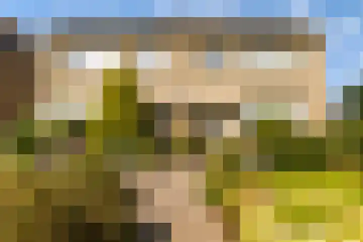 Sillân 87 Britsum foto 3