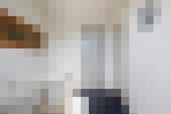Sillân 87 Britsum thumbnail 36