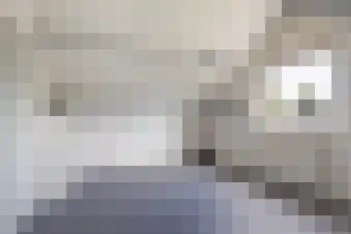 Sillân 87 Britsum thumbnail 39