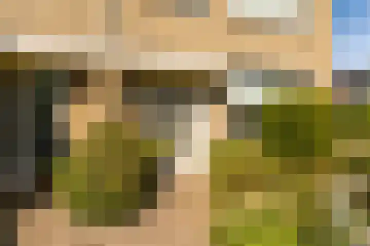 Sillân 87 Britsum thumbnail 4