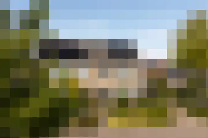 Sillân 87 Britsum thumbnail 41