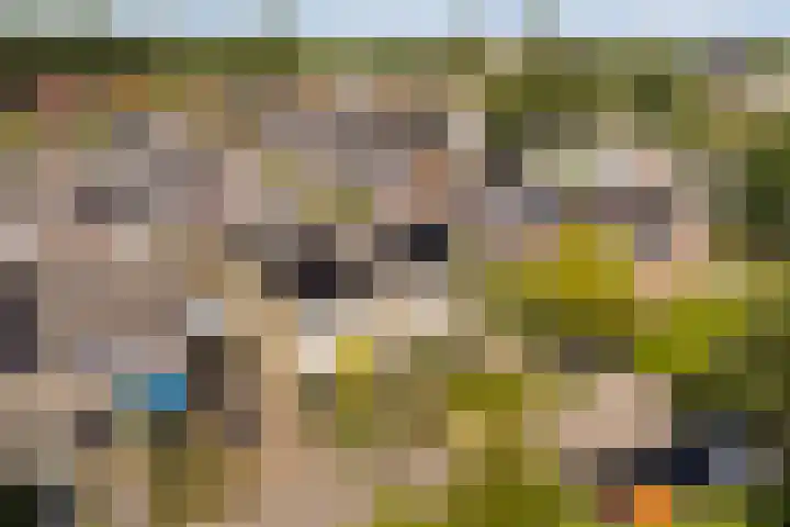Sillân 87 Britsum thumbnail 43