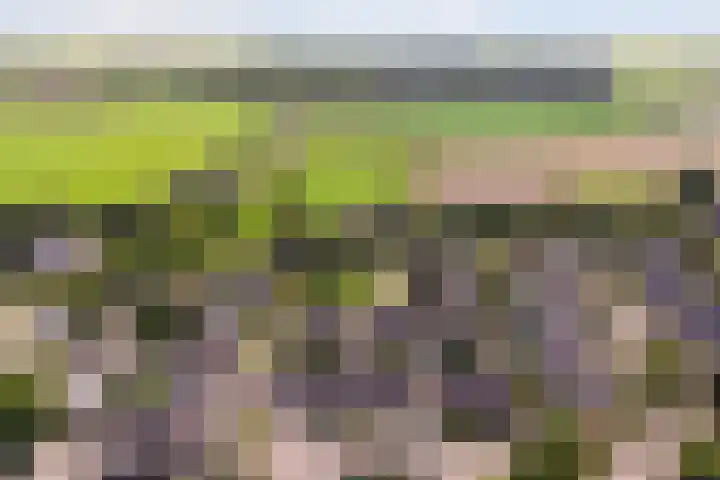 Sillân 87 Britsum thumbnail 44