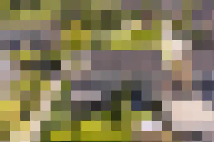 Sillân 87 Britsum thumbnail 45