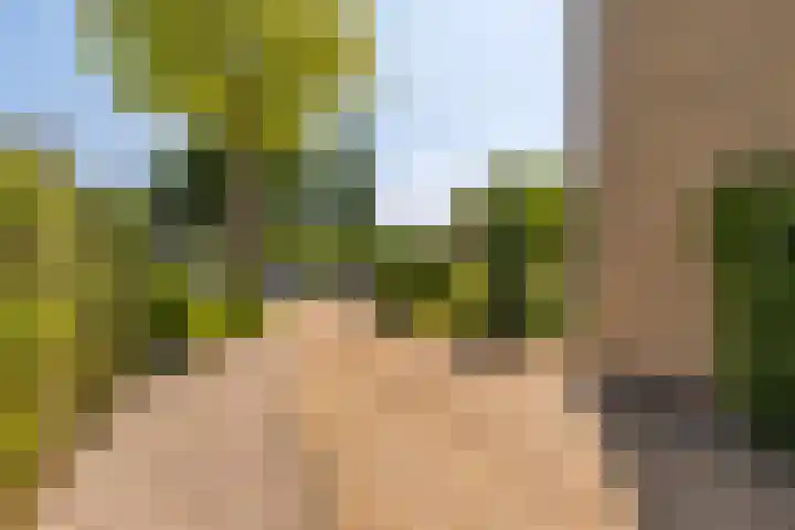 Sillân 87 Britsum thumbnail 6