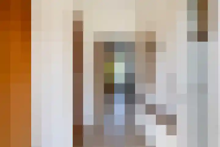 Sillân 87 Britsum thumbnail 7