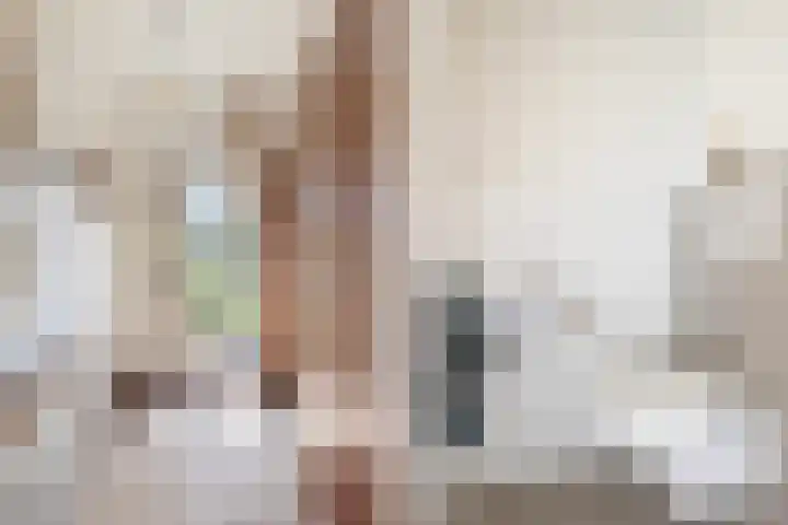 Sillân 87 Britsum thumbnail 8
