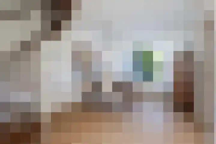 Sillân 87 Britsum thumbnail 9