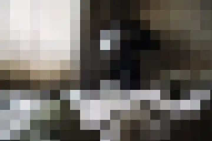 Silodam 142 Amsterdam thumbnail 16