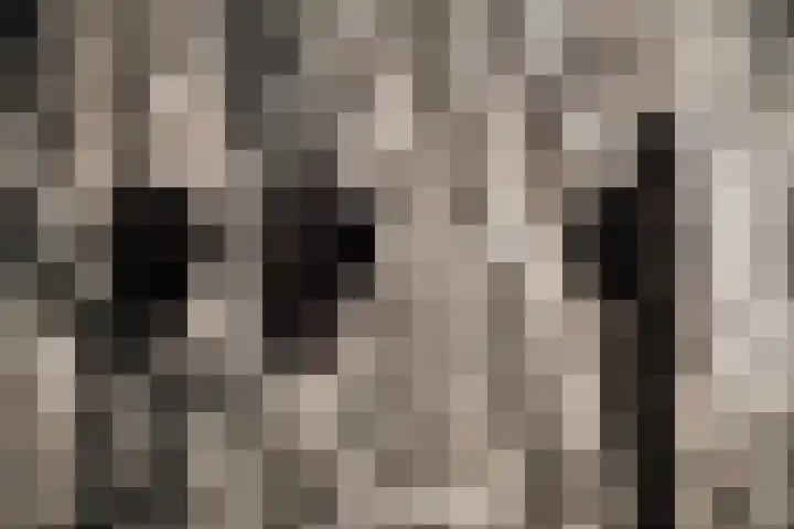 Silodam 142 Amsterdam thumbnail 23