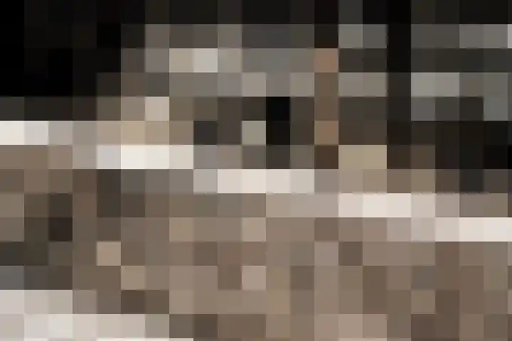 Silodam 142 Amsterdam thumbnail 24