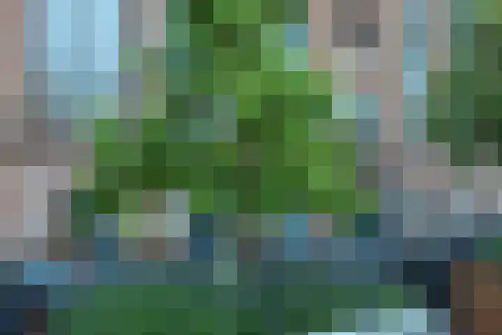 Silodam 142 Amsterdam thumbnail 33