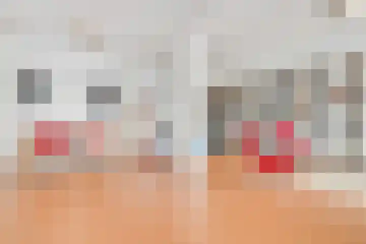 Silodam 186 Amsterdam thumbnail 21