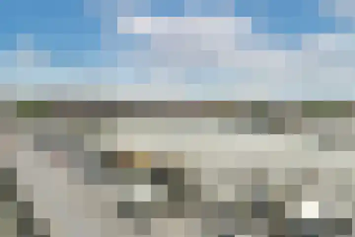 Silodam 335 Amsterdam thumbnail 4