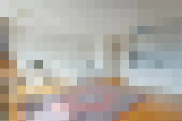 Silodam 355 Amsterdam thumbnail 16