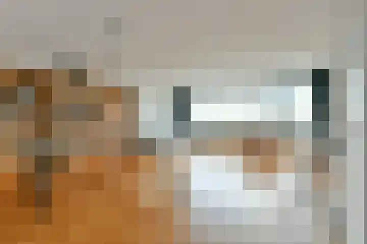 Silodam 355 Amsterdam foto 3