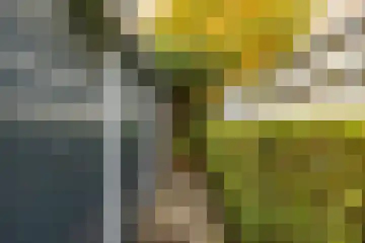 Silversteyn 56 in Breukelen