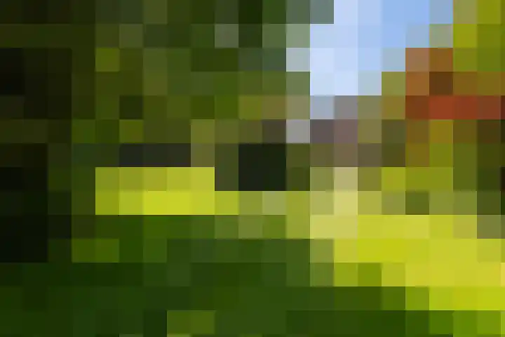 Silvoldseweg 19 Terborg thumbnail 10
