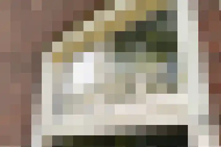 Silvoldseweg 19 Terborg thumbnail 13