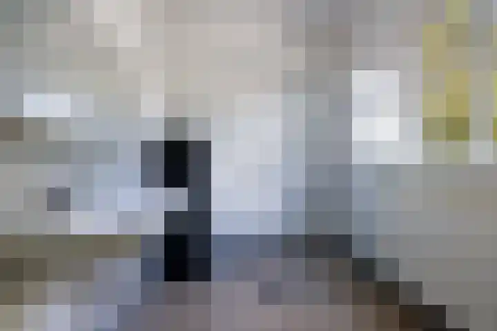 Silvoldseweg 19 Terborg thumbnail 42