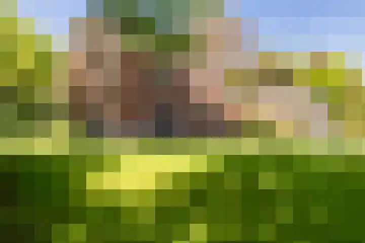 Silvoldseweg 19 Terborg thumbnail 5