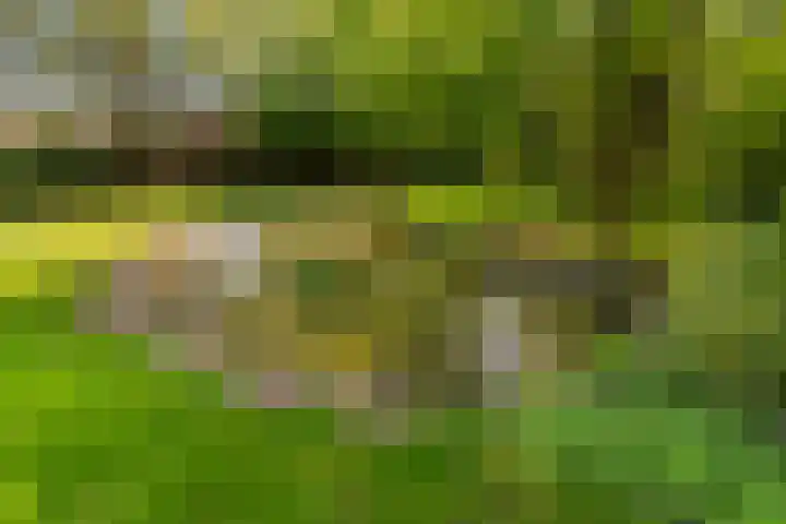 Silvoldseweg 19 Terborg thumbnail 60